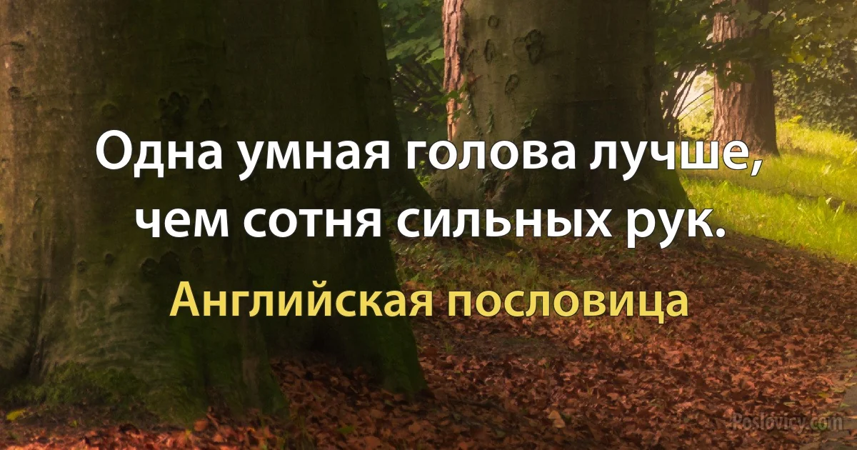 Одна умная голова лучше, чем сотня сильных рук. (Английская пословица)