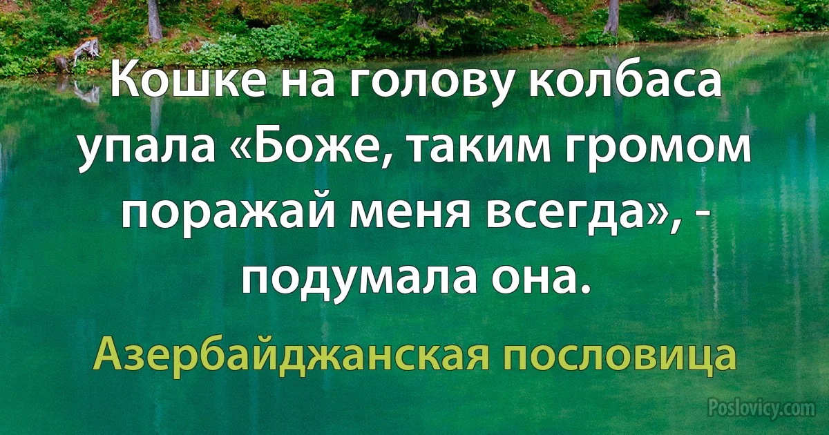 Кошке на голову колбаса упала «Боже, таким громом поражай меня всегда», - подумала она. (Азербайджанская пословица)