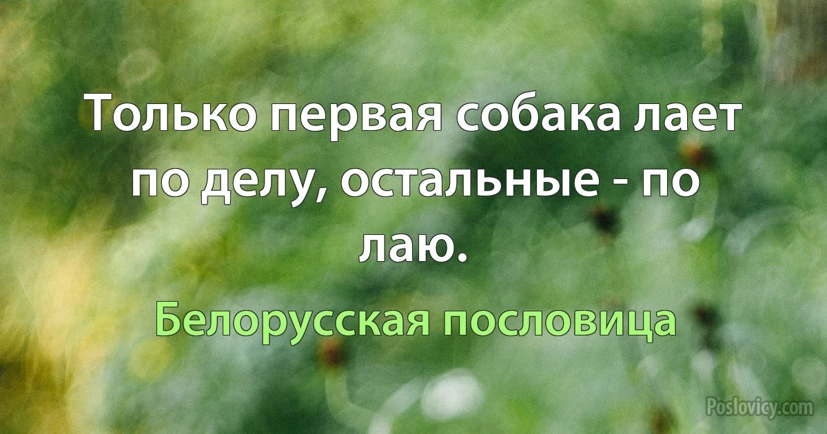 Только первая собака лает по делу, остальные - по лаю. (Белорусская пословица)