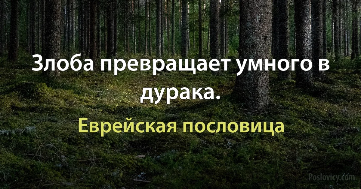 Злоба превращает умного в дурака. (Еврейская пословица)