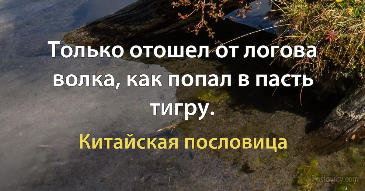 Только отошел от логова волка, как попал в пасть тигру. (Китайская пословица)