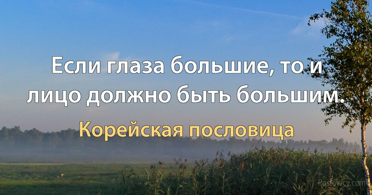 Если глаза большие, то и лицо должно быть большим. (Корейская пословица)