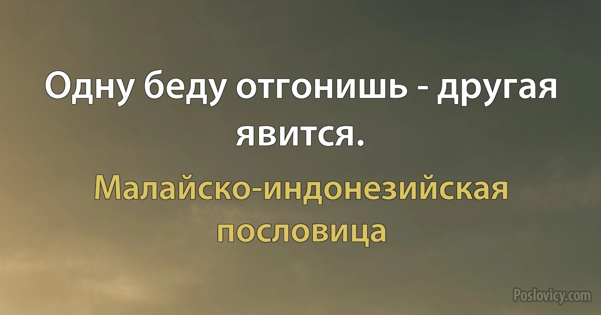 Одну беду отгонишь - другая явится. (Малайско-индонезийская пословица)