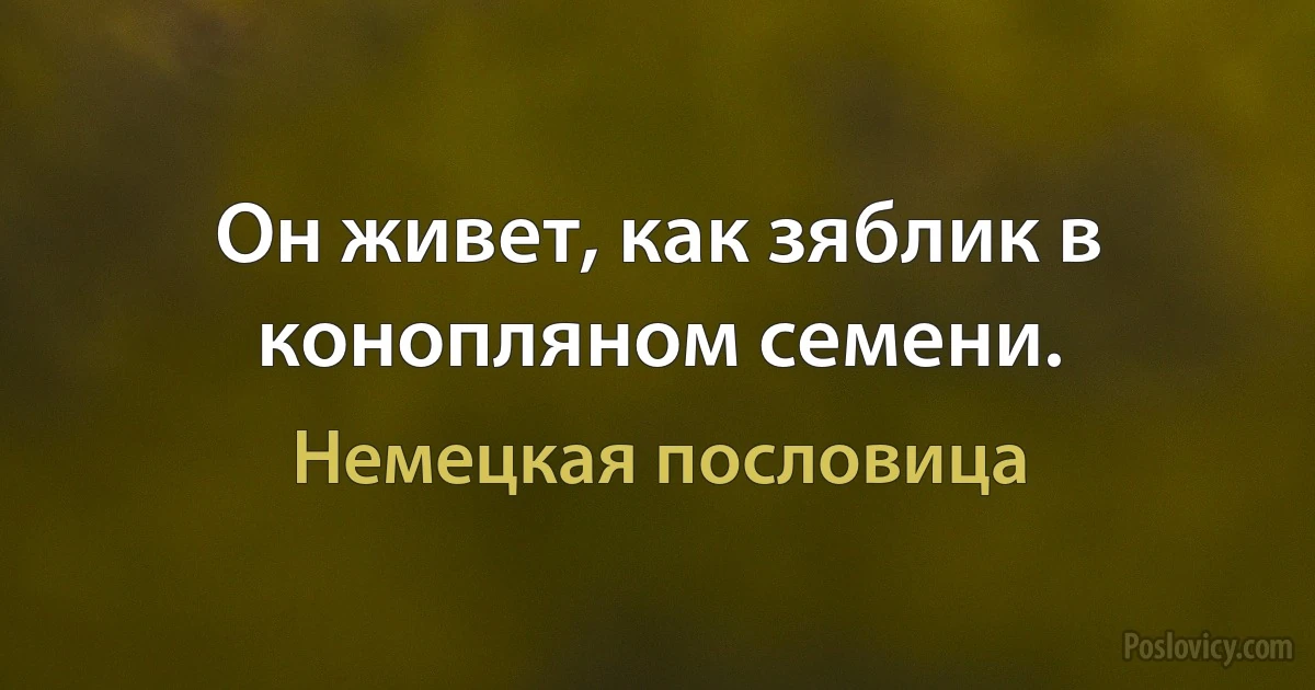 Он живет, как зяблик в конопляном семени. (Немецкая пословица)