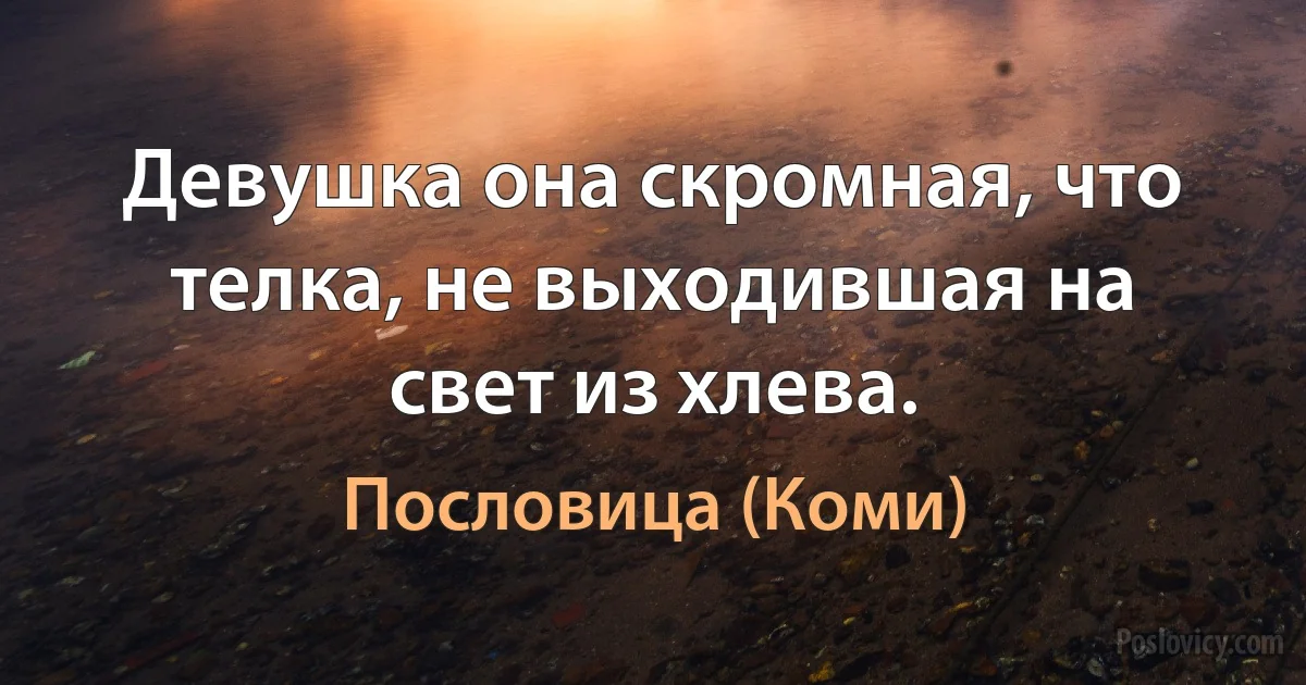 Девушка она скромная, что телка, не выходившая на свет из хлева. (Пословица (Коми))