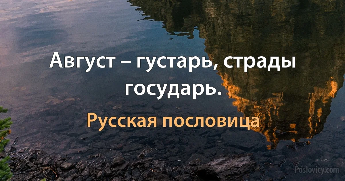 Август – густарь, страды государь. (Русская пословица)