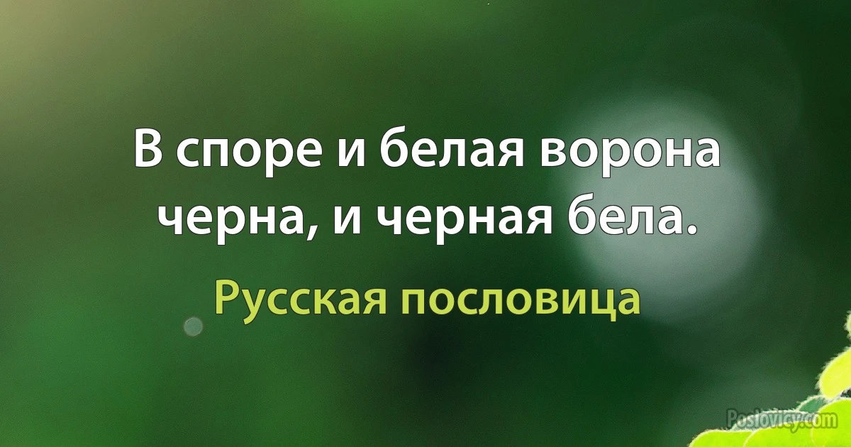 В споре и белая ворона черна, и черная бела. (Русская пословица)