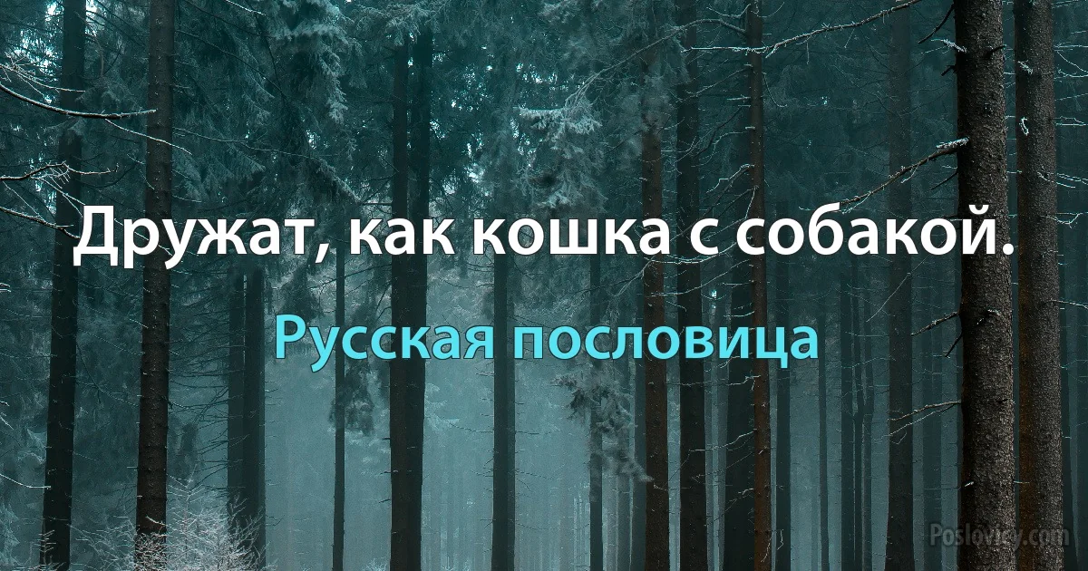 Дружат, как кошка с собакой. (Русская пословица)