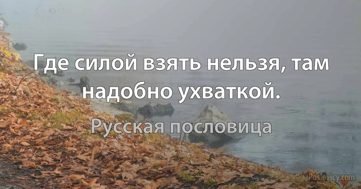 Где силой взять нельзя, там надобно ухваткой. (Русская пословица)