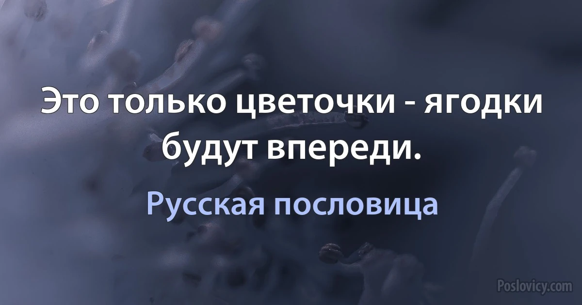 Это только цветочки - ягодки будут впереди. (Русская пословица)