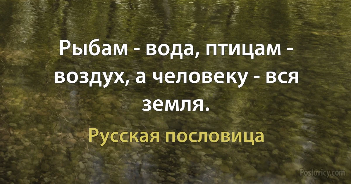 Рыбам - вода, птицам - воздух, а человеку - вся земля. (Русская пословица)