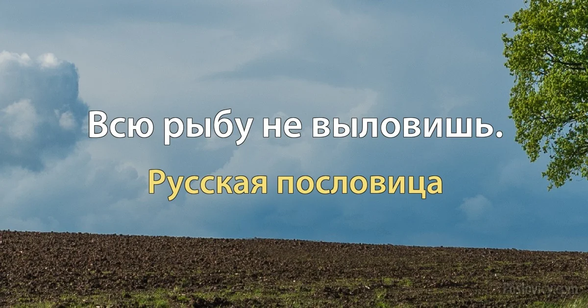 Всю рыбу не выловишь. (Русская пословица)