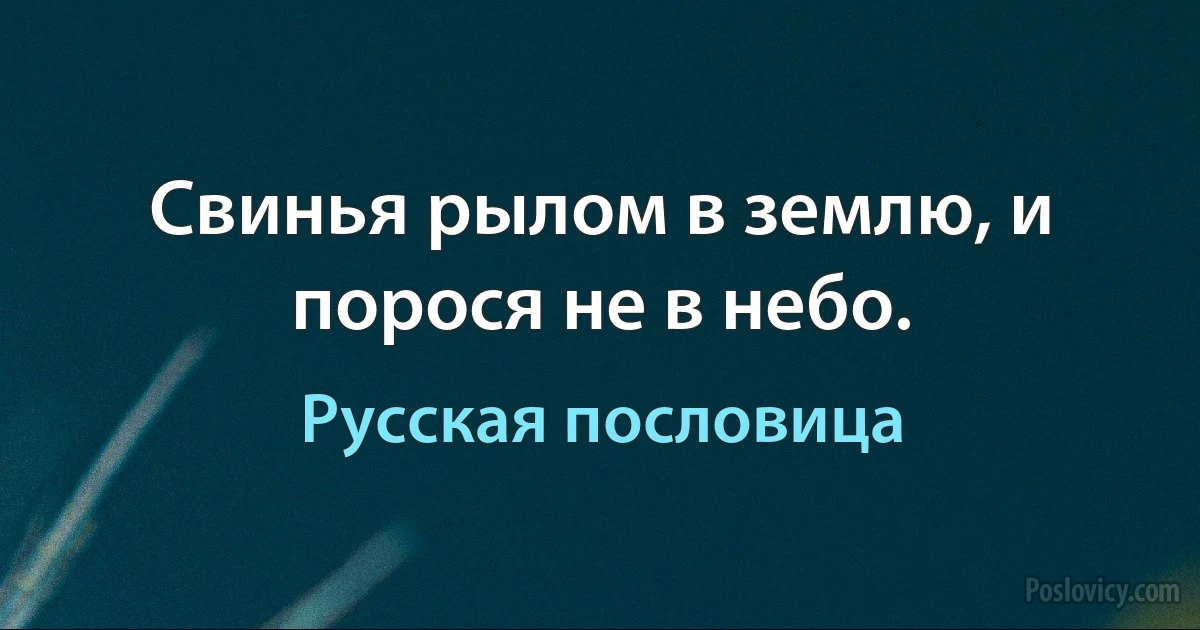 Свинья рылом в землю, и порося не в небо. (Русская пословица)