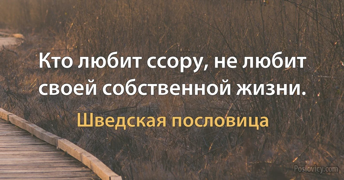 Кто любит ссору, не любит своей собственной жизни. (Шведская пословица)