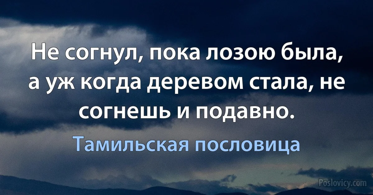 Не согнул, пока лозою была, а уж когда деревом стала, не согнешь и подавно. (Тамильская пословица)