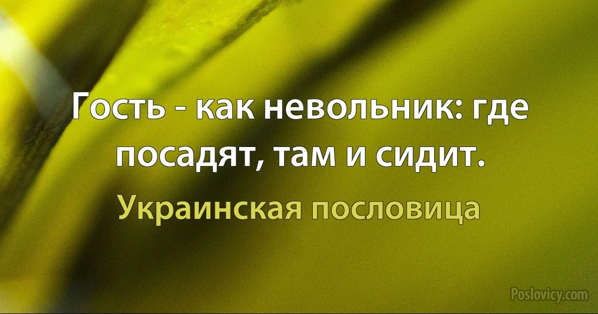 Гость - как невольник: где посадят, там и сидит. (Украинская пословица)