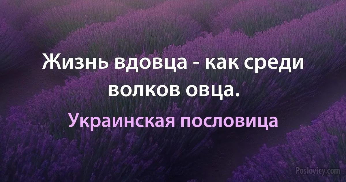 Жизнь вдовца - как среди волков овца. (Украинская пословица)