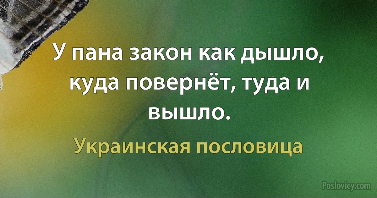 У пана закон как дышло, куда повернёт, туда и вышло. (Украинская пословица)