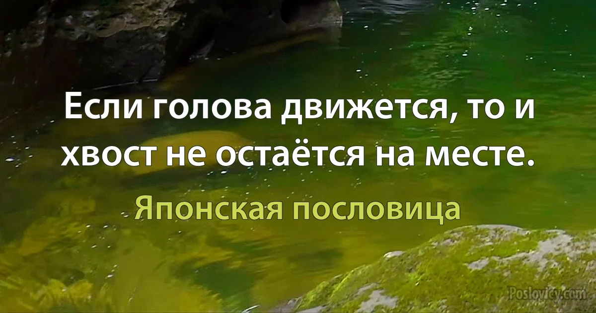 Если голова движется, то и хвост не остаётся на месте. (Японская пословица)