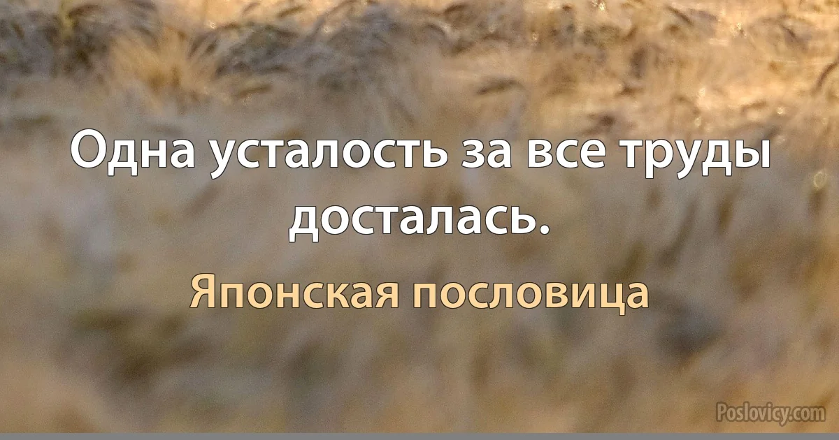 Одна усталость за все труды досталась. (Японская пословица)