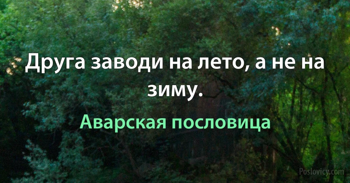 Друга заводи на лето, а не на зиму. (Аварская пословица)