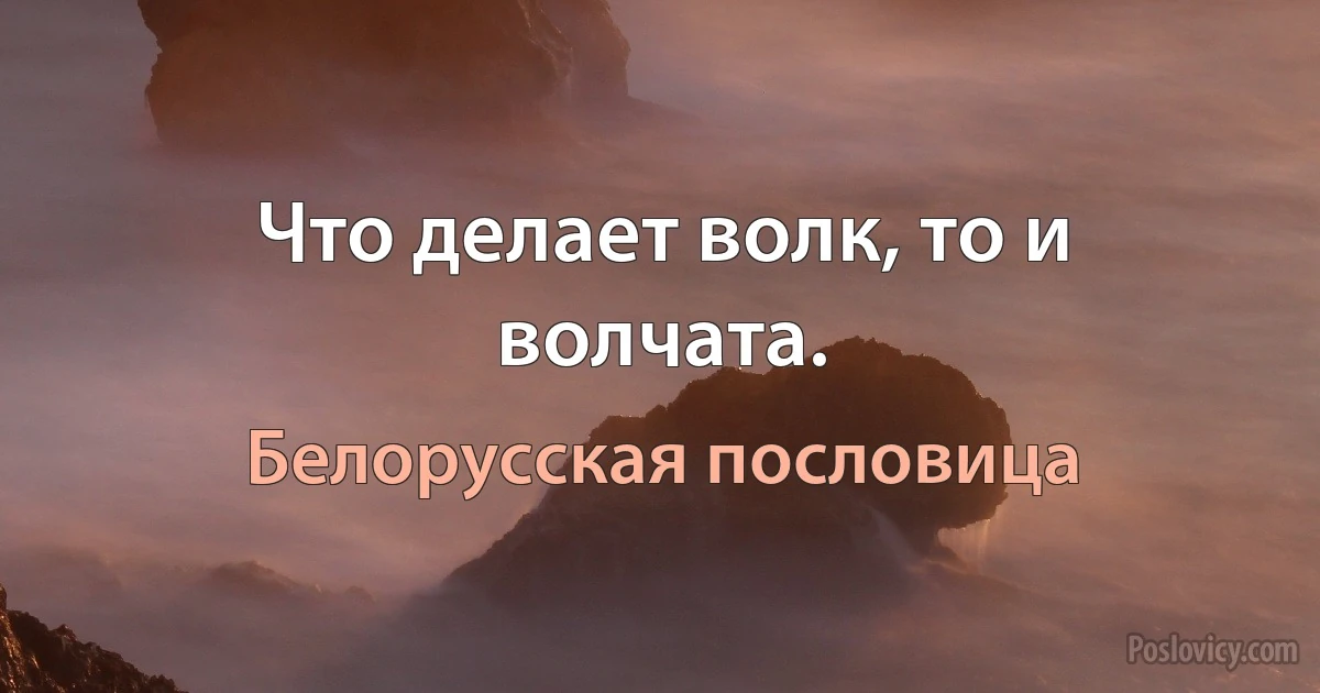 Что делает волк, то и волчата. (Белорусская пословица)