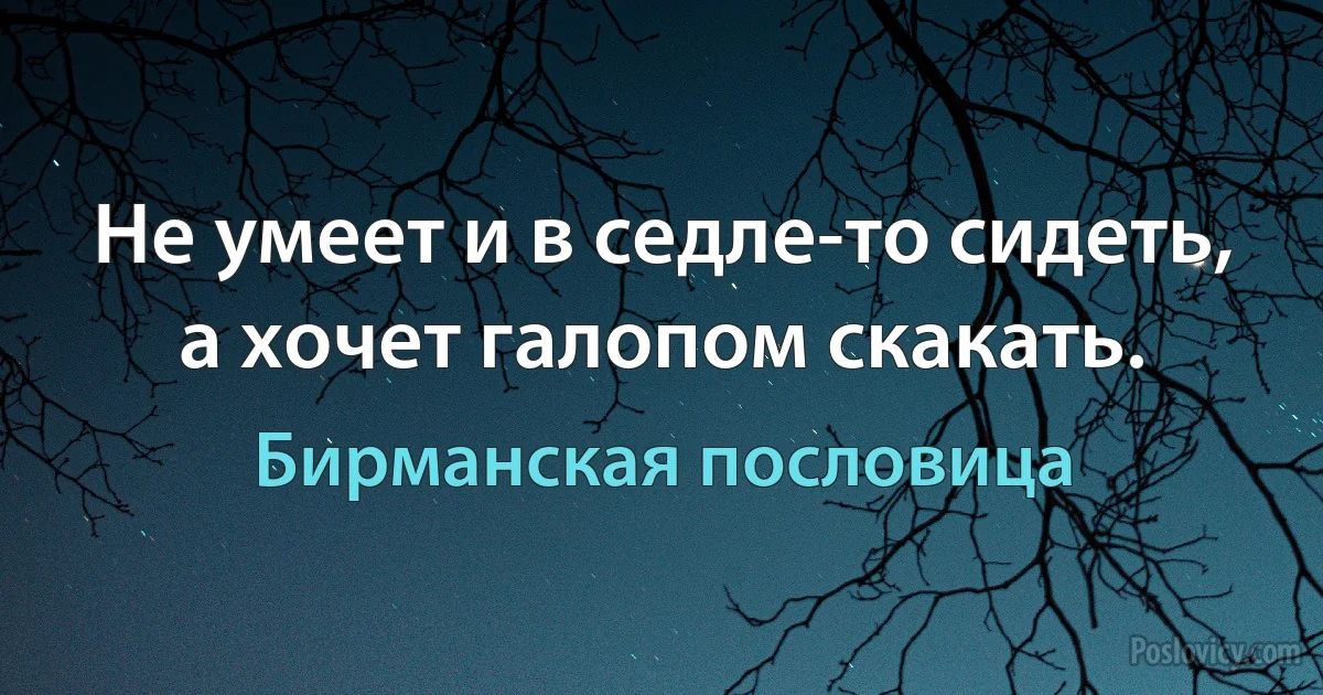 Не умеет и в седле-то сидеть, а хочет галопом скакать. (Бирманская пословица)