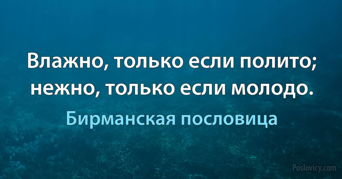 Влажно, только если полито; нежно, только если молодо. (Бирманская пословица)