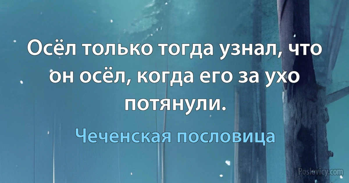 Осёл только тогда узнал, что он осёл, когда его за ухо потянули. (Чеченская пословица)