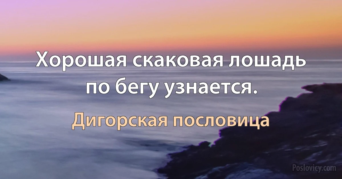 Хорошая скаковая лошадь по бегу узнается. (Дигорская пословица)