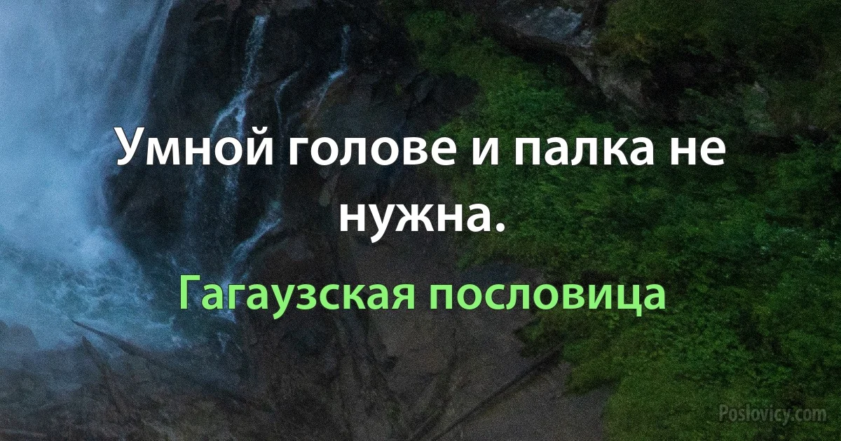 Умной голове и палка не нужна. (Гагаузская пословица)