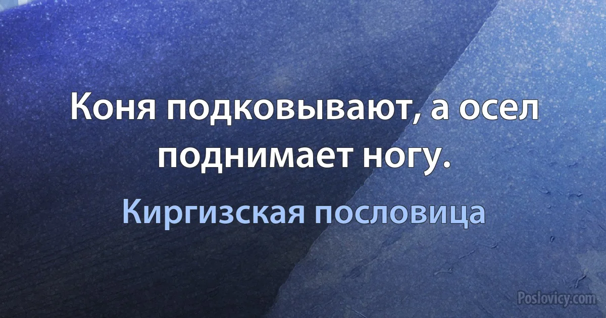 Коня подковывают, а осел поднимает ногу. (Киргизская пословица)