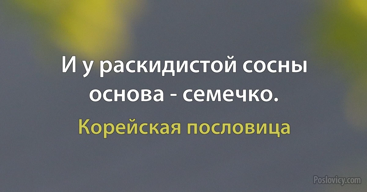 И у раскидистой сосны основа - семечко. (Корейская пословица)