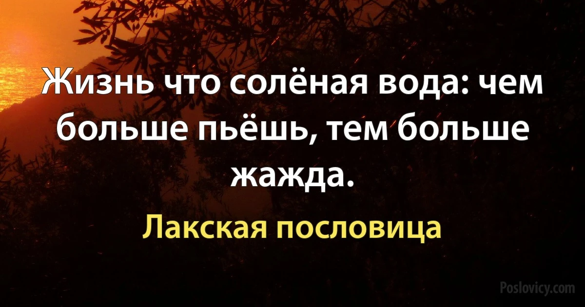 Жизнь что солёная вода: чем больше пьёшь, тем больше жажда. (Лакская пословица)