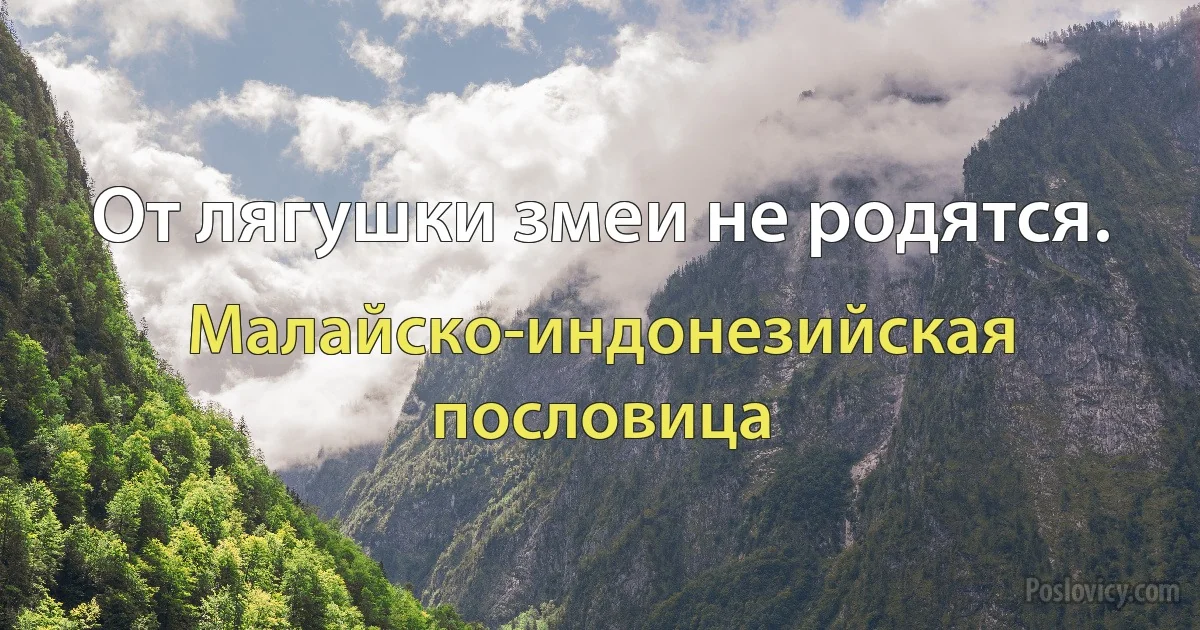 От лягушки змеи не родятся. (Малайско-индонезийская пословица)