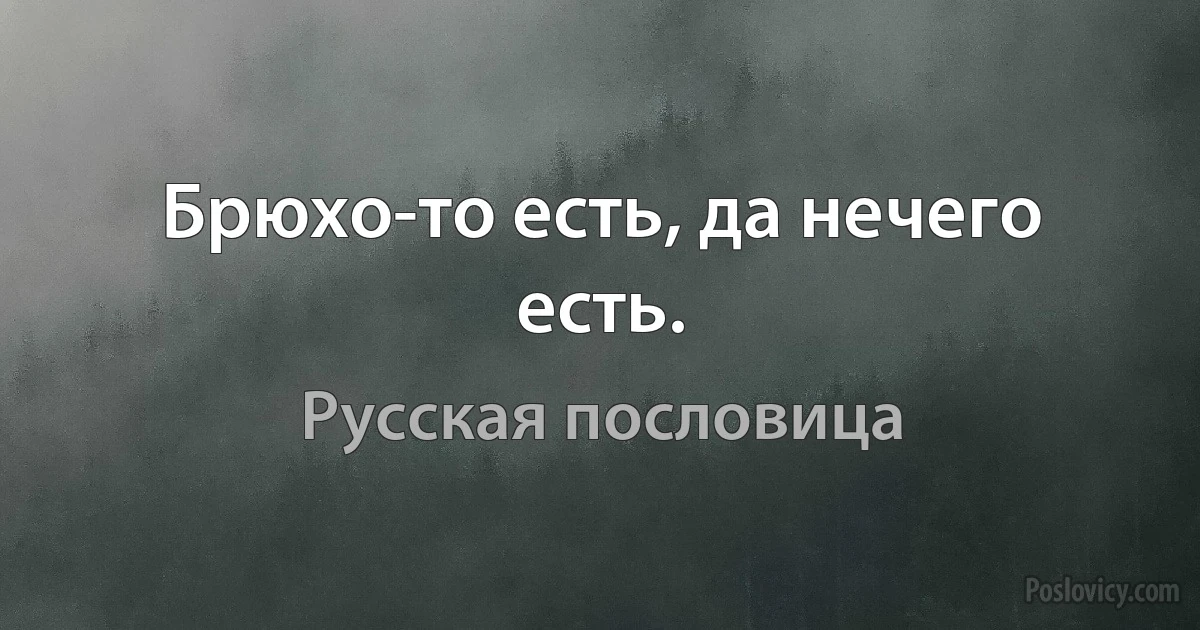 Брюхо-то есть, да нечего есть. (Русская пословица)