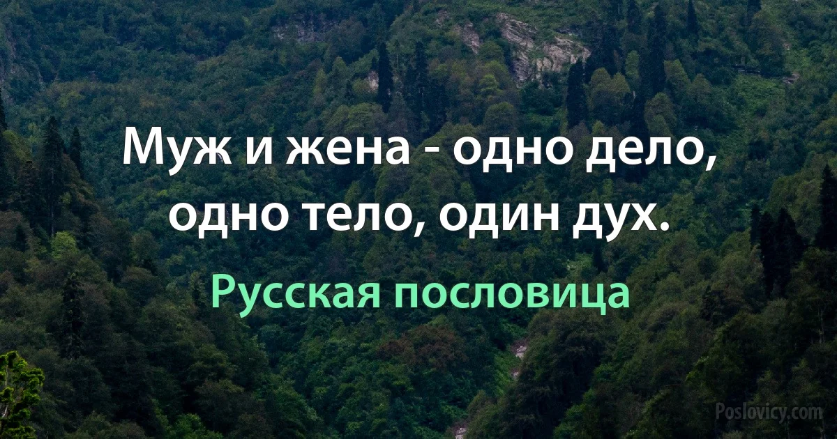 Муж и жена - одно дело, одно тело, один дух. (Русская пословица)