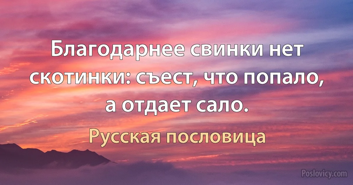 Благодарнее свинки нет скотинки: съест, что попало, а отдает сало. (Русская пословица)