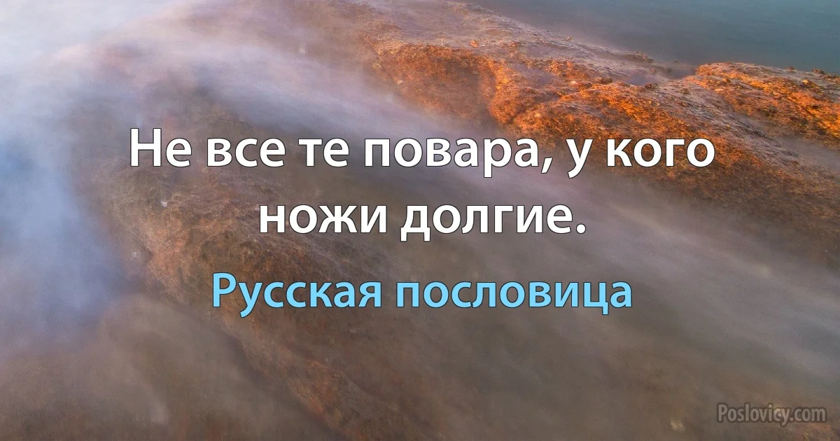 Не все те повара, у кого ножи долгие. (Русская пословица)