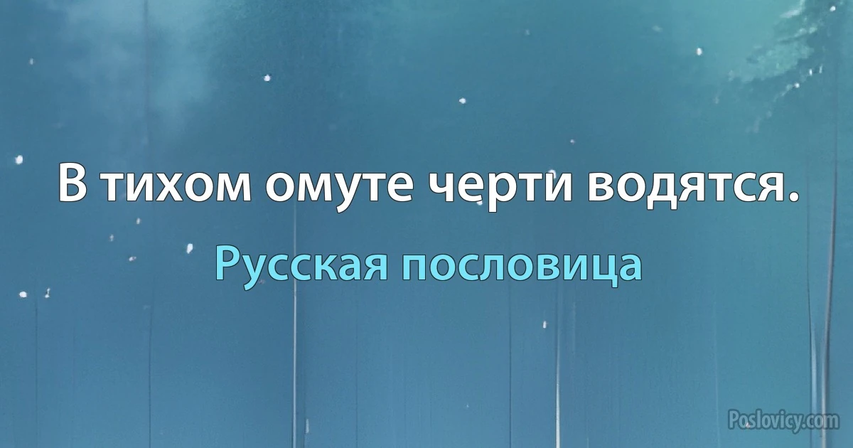 В тихом омуте черти водятся. (Русская пословица)