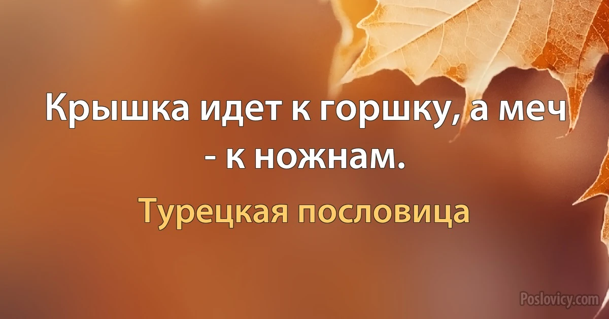 Крышка идет к горшку, а меч - к ножнам. (Турецкая пословица)