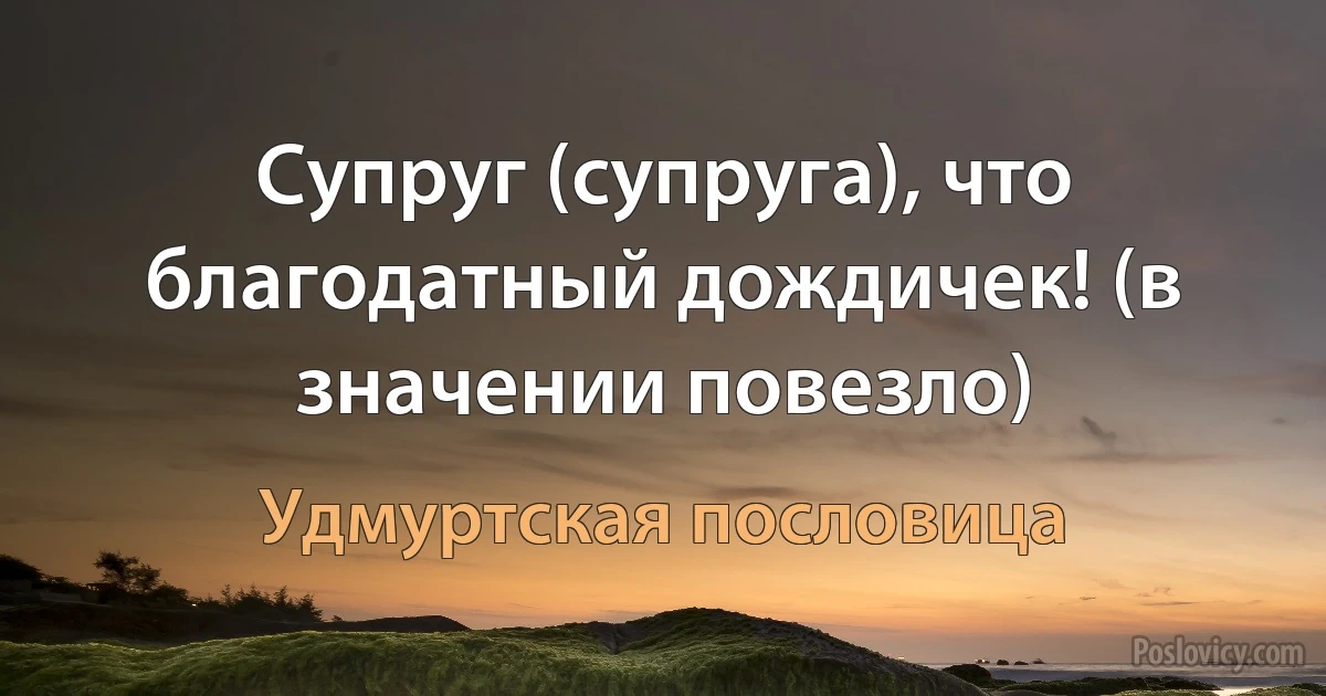 Супруг (супруга), что благодатный дождичек! (в значении повезло) (Удмуртская пословица)