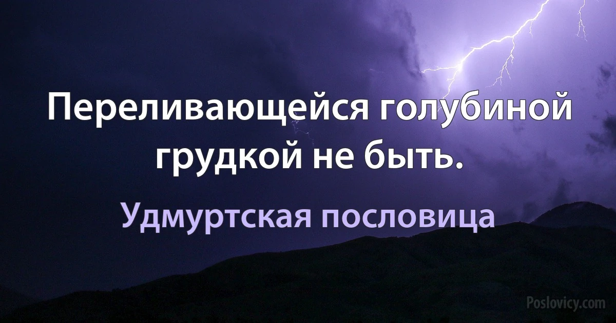 Переливающейся голубиной грудкой не быть. (Удмуртская пословица)