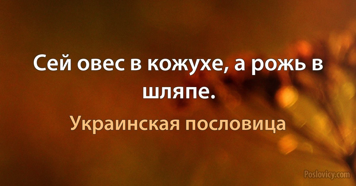 Сей овес в кожухе, а рожь в шляпе. (Украинская пословица)