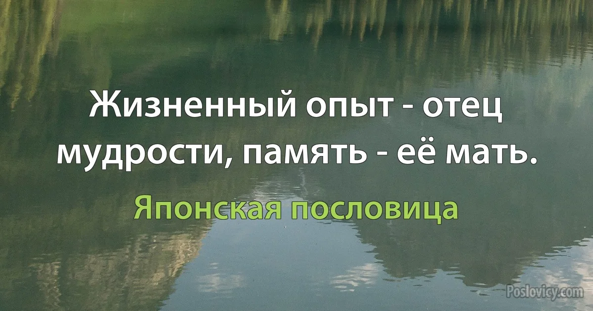 Жизненный опыт - отец мудрости, память - её мать. (Японская пословица)