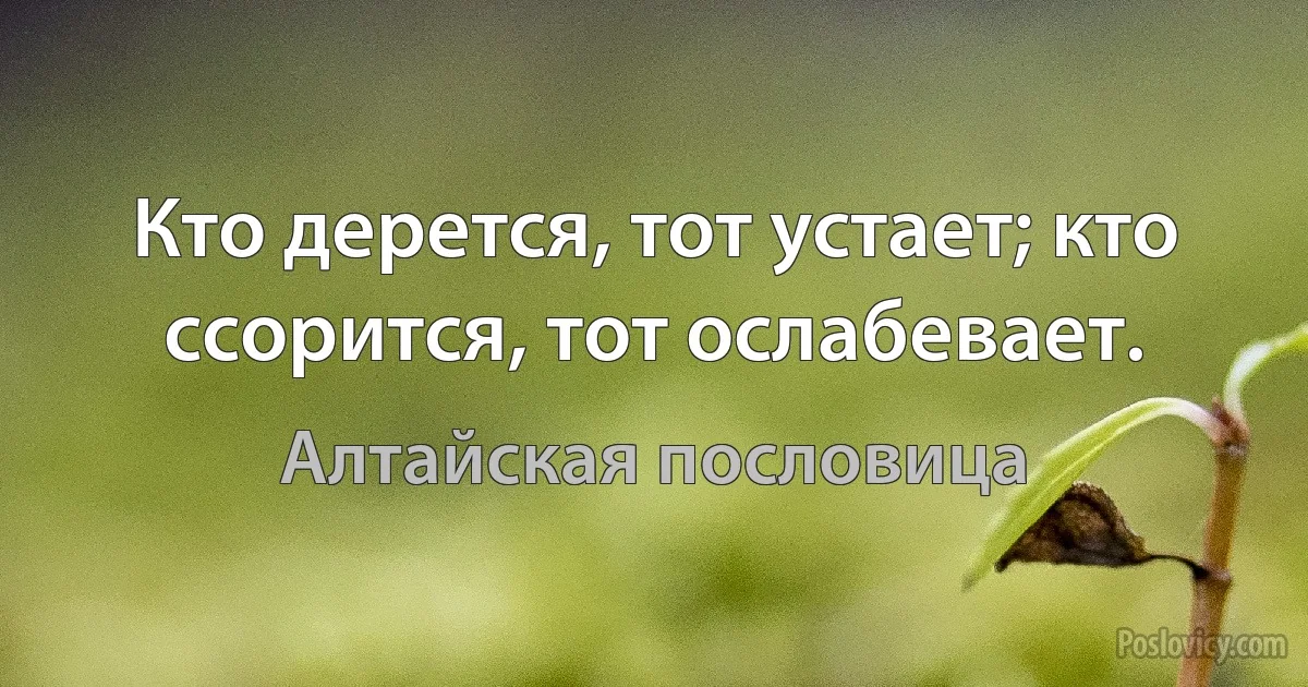 Кто дерется, тот устает; кто ссорится, тот ослабевает. (Алтайская пословица)