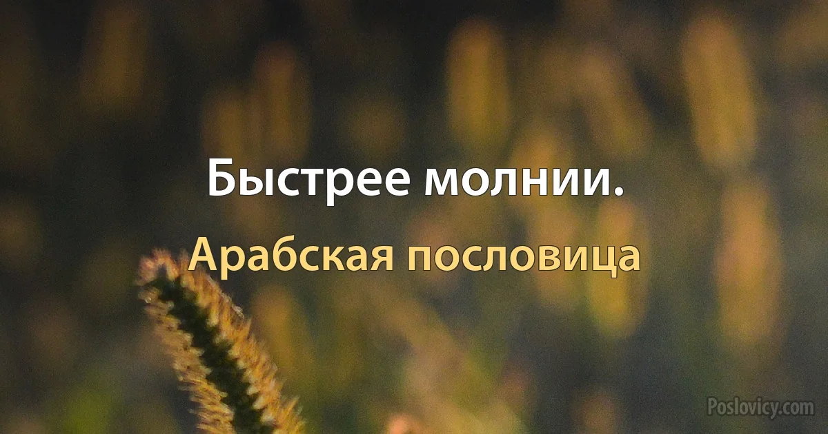 Быстрее молнии. (Арабская пословица)