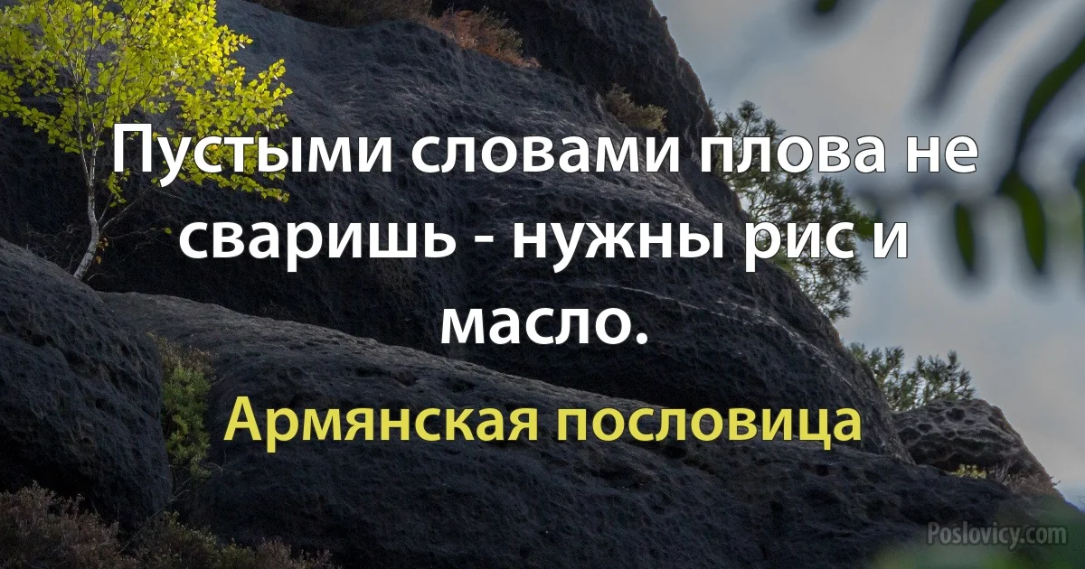 Пустыми словами плова не сваришь - нужны рис и масло. (Армянская пословица)