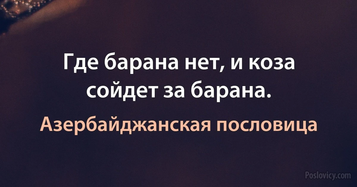 Где барана нет, и коза сойдет за барана. (Азербайджанская пословица)