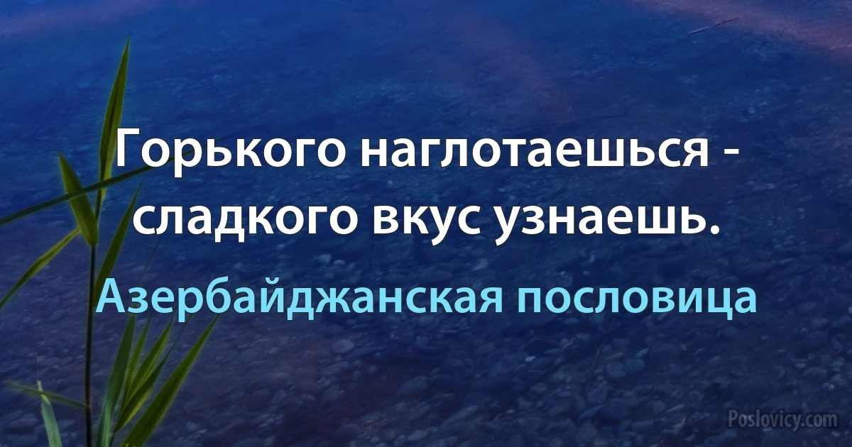 Горького наглотаешься - сладкого вкус узнаешь. (Азербайджанская пословица)